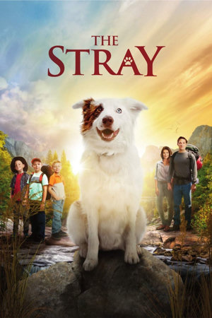 the stray