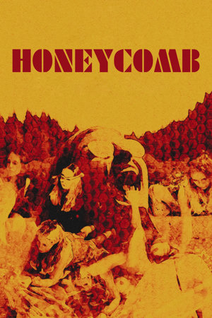 honeycomb