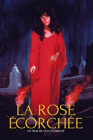 la rose écorchée