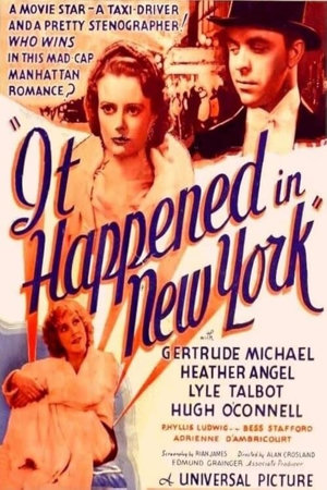 it happened in new york