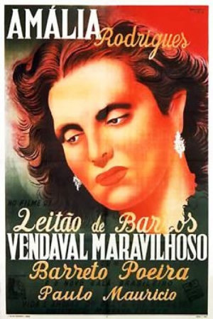 vendaval maravilhoso