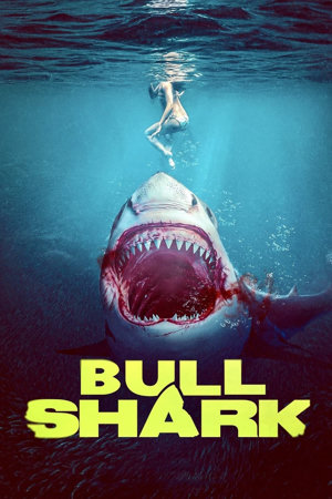 bull shark