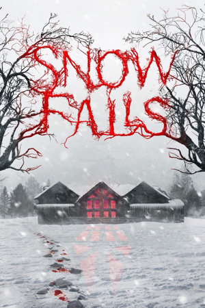 snow falls