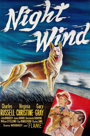 night wind