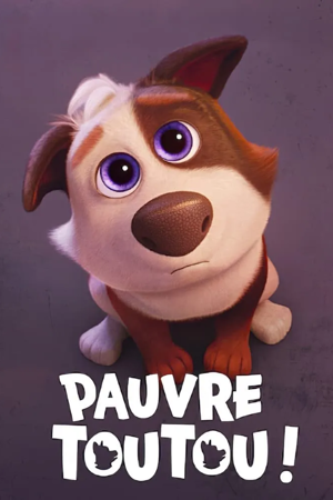 pauvre toutou !