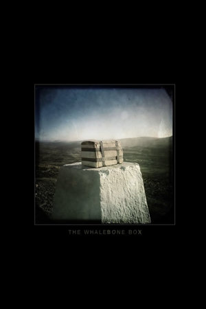 the whalebone box