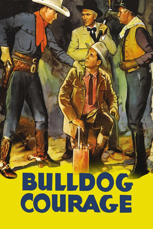 bulldog courage