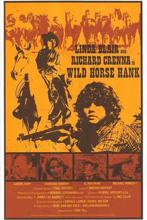 wild horse hank