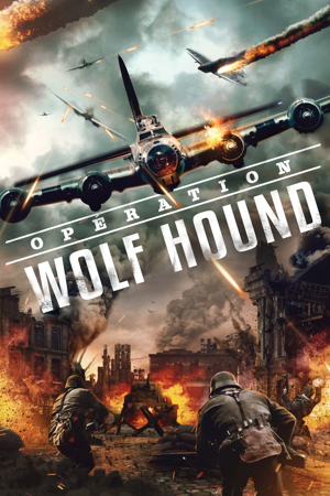 opération wolf hound