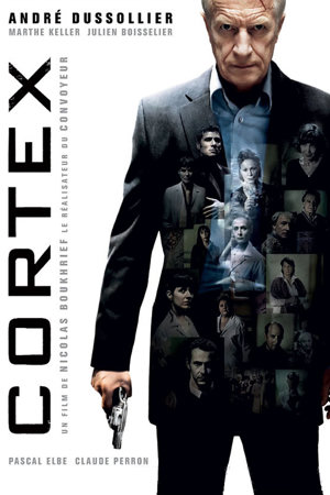 cortex