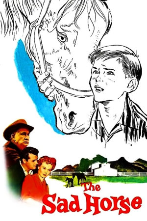 the sad horse