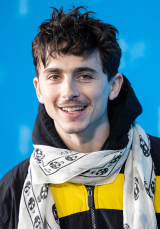 timothée chalamet