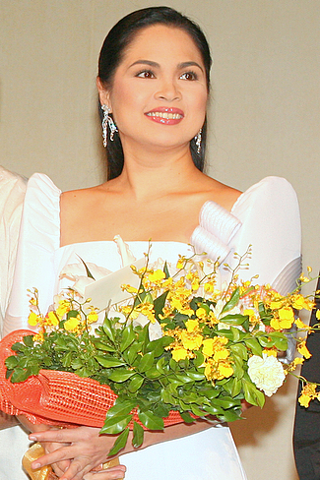 judy ann santos