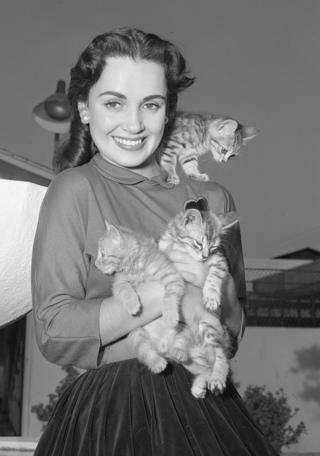 susan cabot