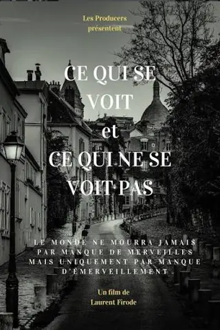 Ce qui se voit et ce qui ne se voit pas