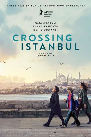Crossing Istanbul