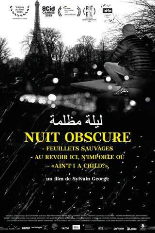 Nuit obscure - Feuillets sauvages