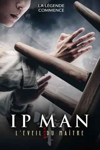 ip man : l'Éveil du maître