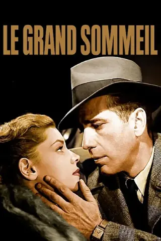 Le grand sommeil