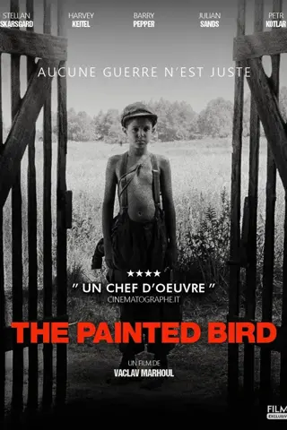 The Painted Bird