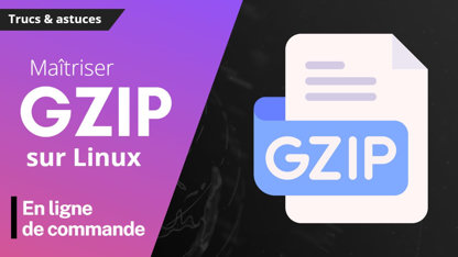 Comment utiliser Gzip sur Linux : Un guide pas à pas