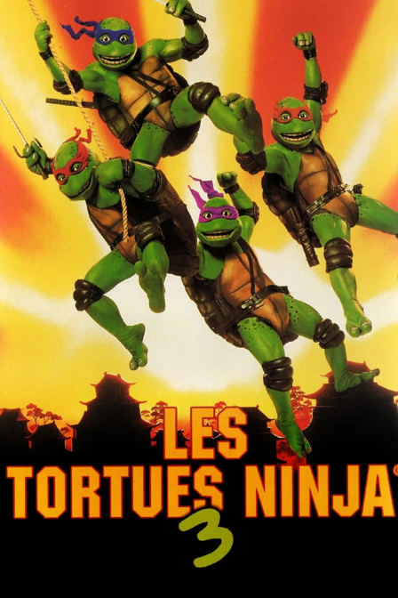 les tortues ninja 3 : retour au pays des samouraïs