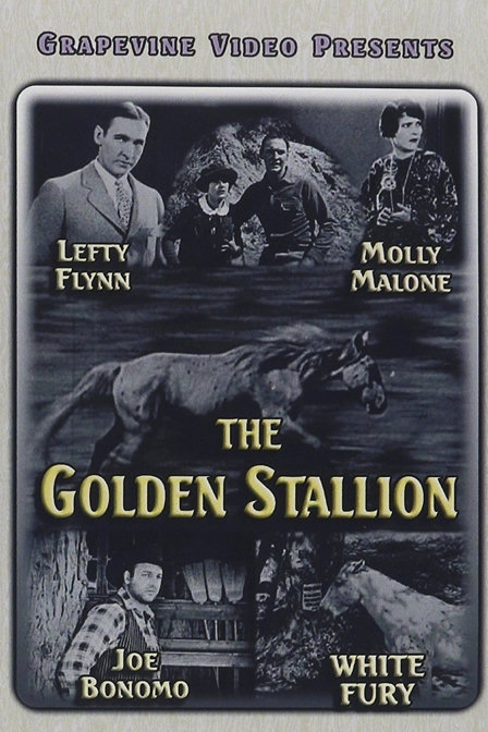 the golden stallion