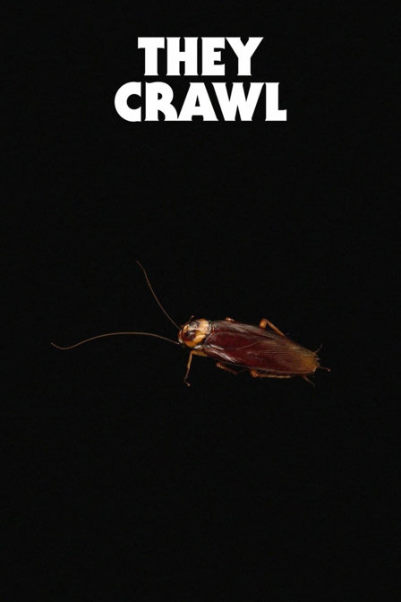 they crawl