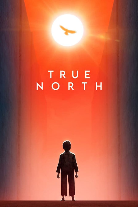 true north