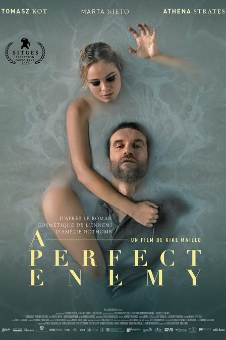 a perfect enemy