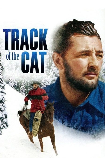 track of the cat