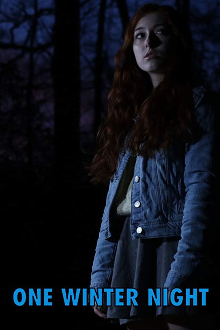 one winter night
