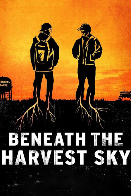 beneath the harvest sky