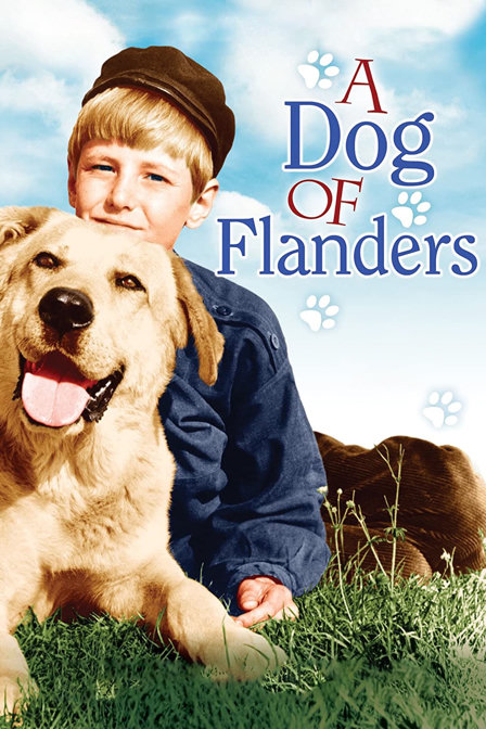 a dog of flanders