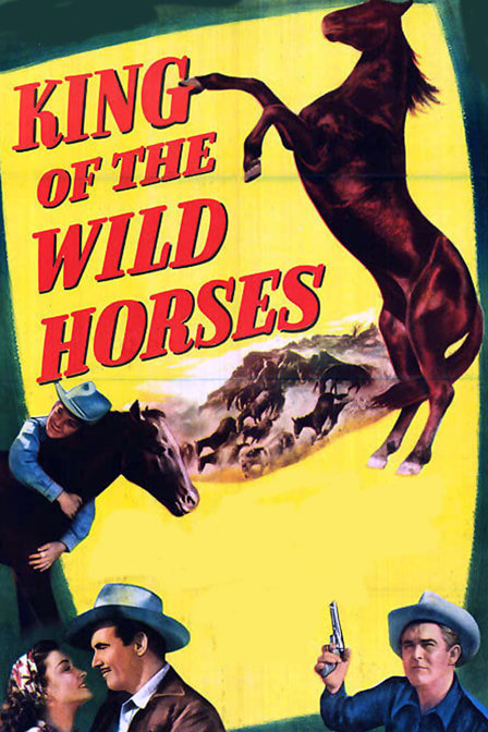 king of the wild horses