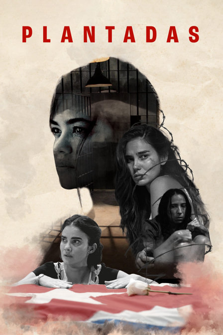 plantadas