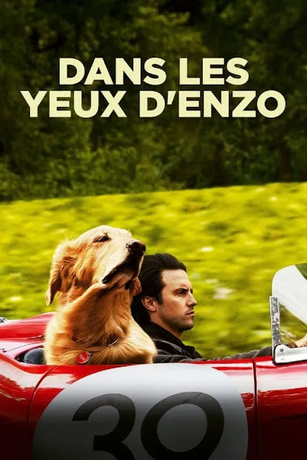 dans les yeux d'enzo