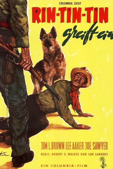 the challenge of rin tin tin