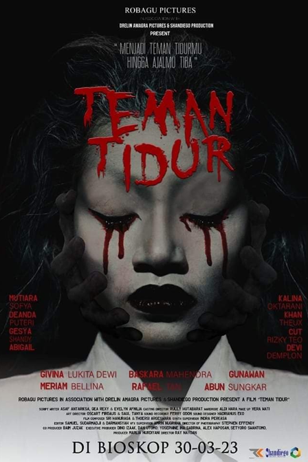teman tidur