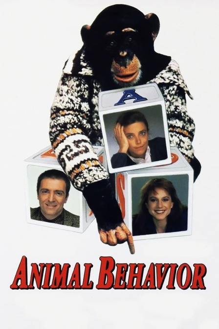 animal behavior
