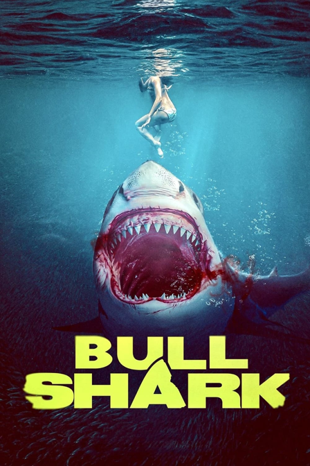 bull shark