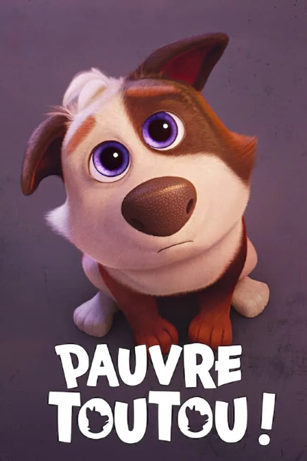 pauvre toutou !