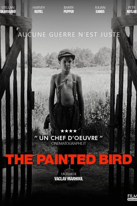 the painted bird