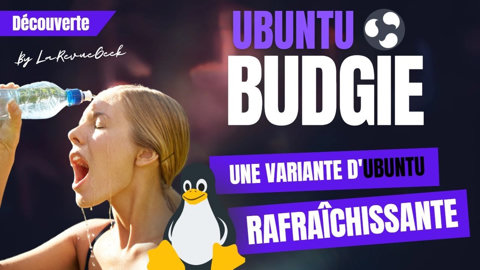 Découverte de Ubuntu Budgie : la variante d'Ubuntu rafraichissante ! 😎