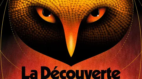 La Découverte de la Chouette d'Or