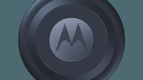 667e5e107d7a16.67474099-159382-1200-auto-2.jpg