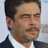 benicio del toro