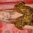 hope davis