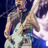 flea