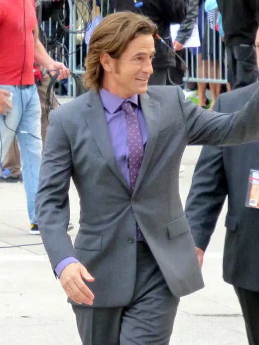 Dermot Mulroney